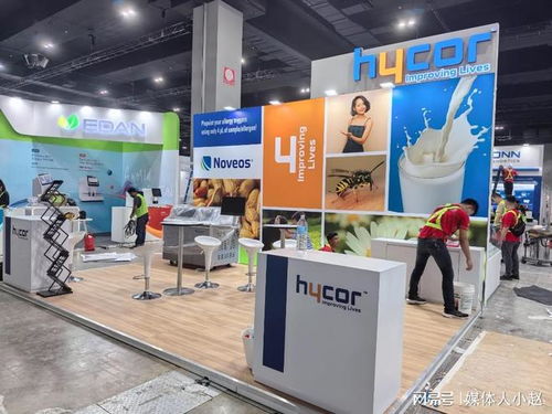 2026全球展臺設(shè)計與搭建服務(wù)商全覽 創(chuàng)新策劃引領(lǐng)未來展會新篇章